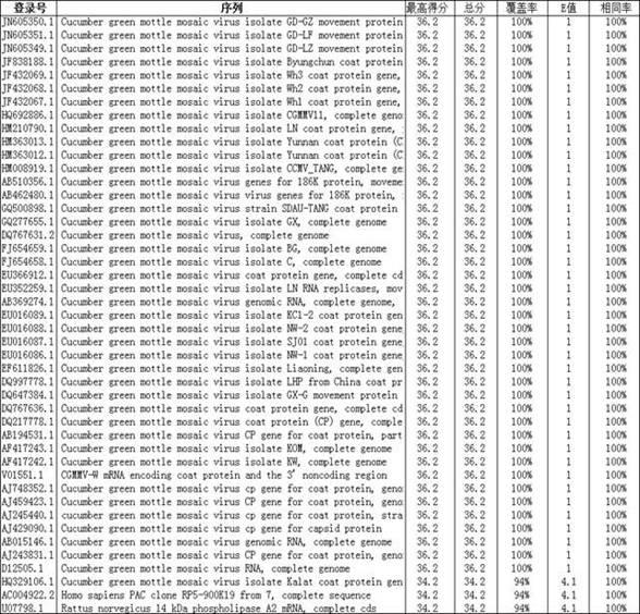 PCR (Polymerase Chain Reaction) primer and method for detecting cucumber green mottle mosaic virus (CGMMV)