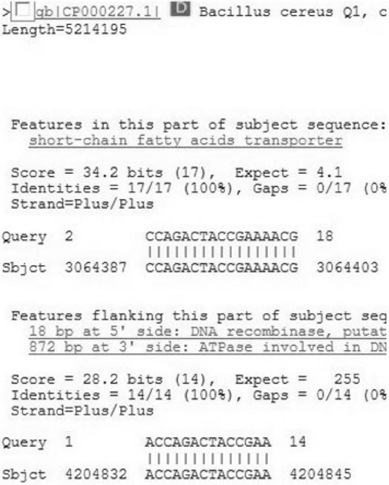 PCR (Polymerase Chain Reaction) primer and method for detecting cucumber green mottle mosaic virus (CGMMV)