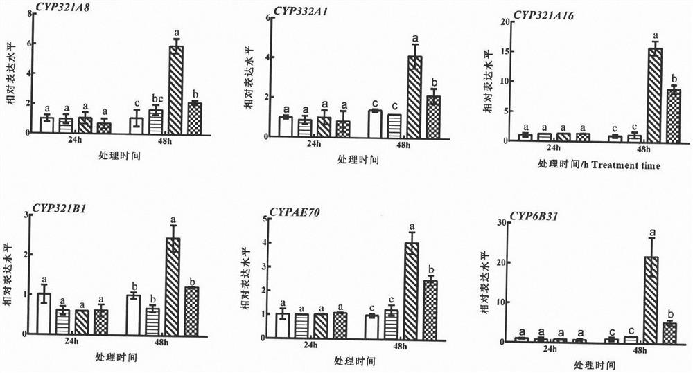 New pesticide synergistic technology and application thereof