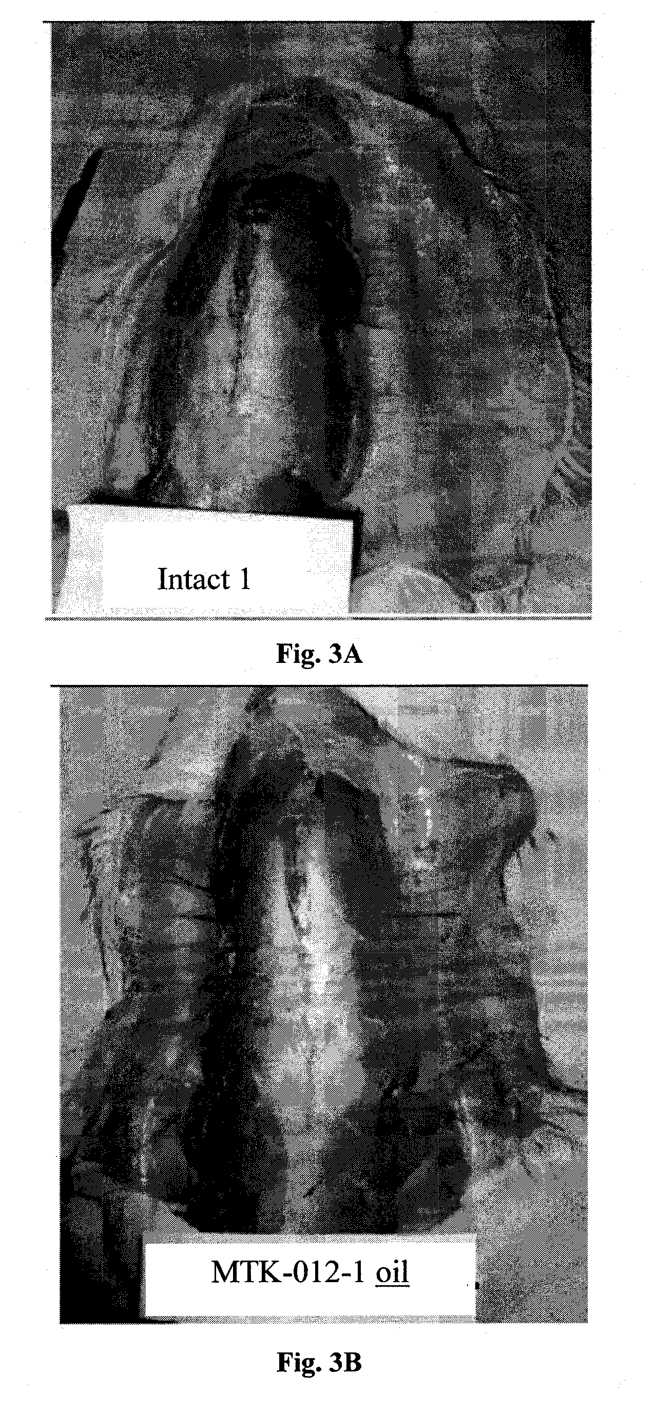 Tricyclic compounds, compositions comprising them and uses thereof