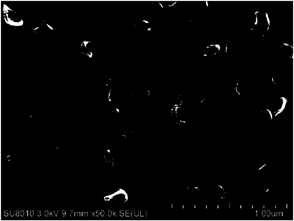 Pollution-resistant separation membrane with mixed charge layer on surface and preparation method thereof