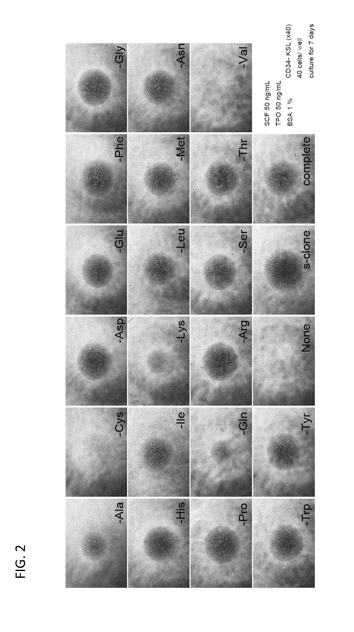 Composition for decreasing hematopoietic stem cells, and method for producing same