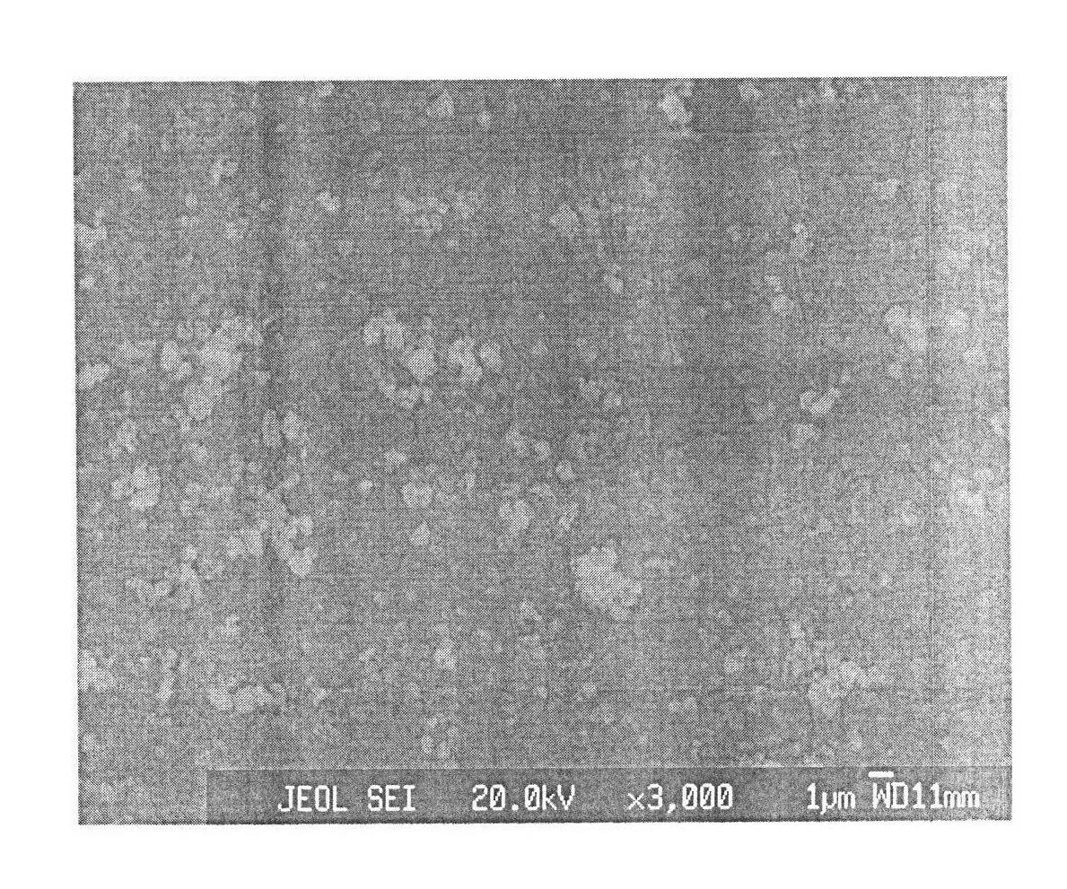 Magnesium alloy surface conversion treatment liquid and treatment method thereof