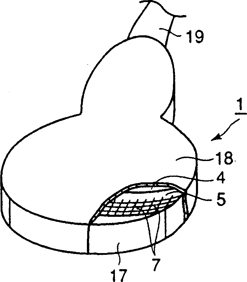 Convex ultrasonic probe and ultrasonic diagnostic apparatus