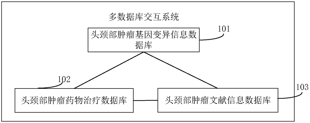 Multi-database interactive system for head and neck tumor gene mutation and drug interpretation