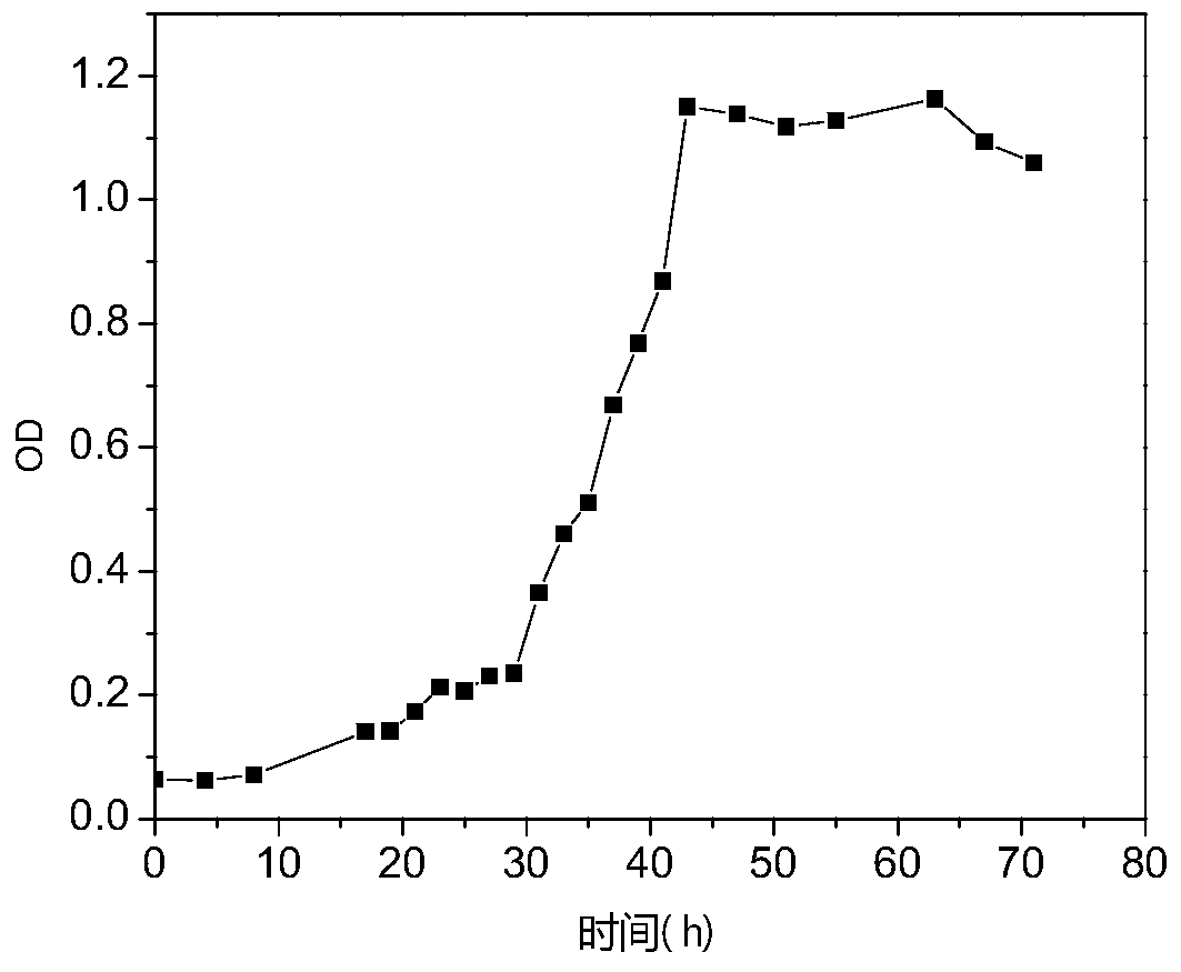 Methylobacterium capable of degrading chlorinated hydrocarbons and its application