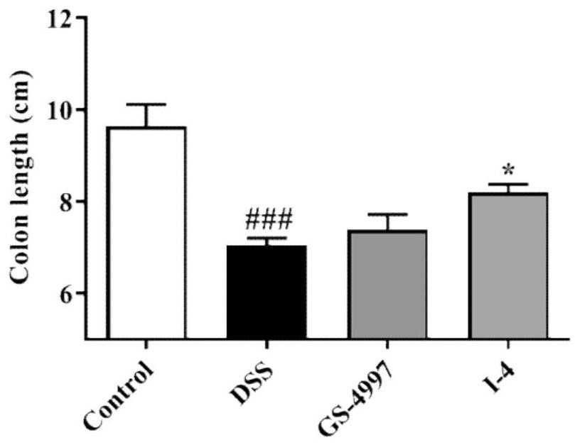 Indole ASK1 small-molecule inhibitor and preparation method and application thereof