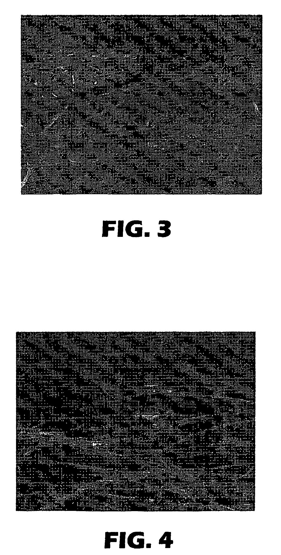 Thermal insulating material and pollution control device using the same