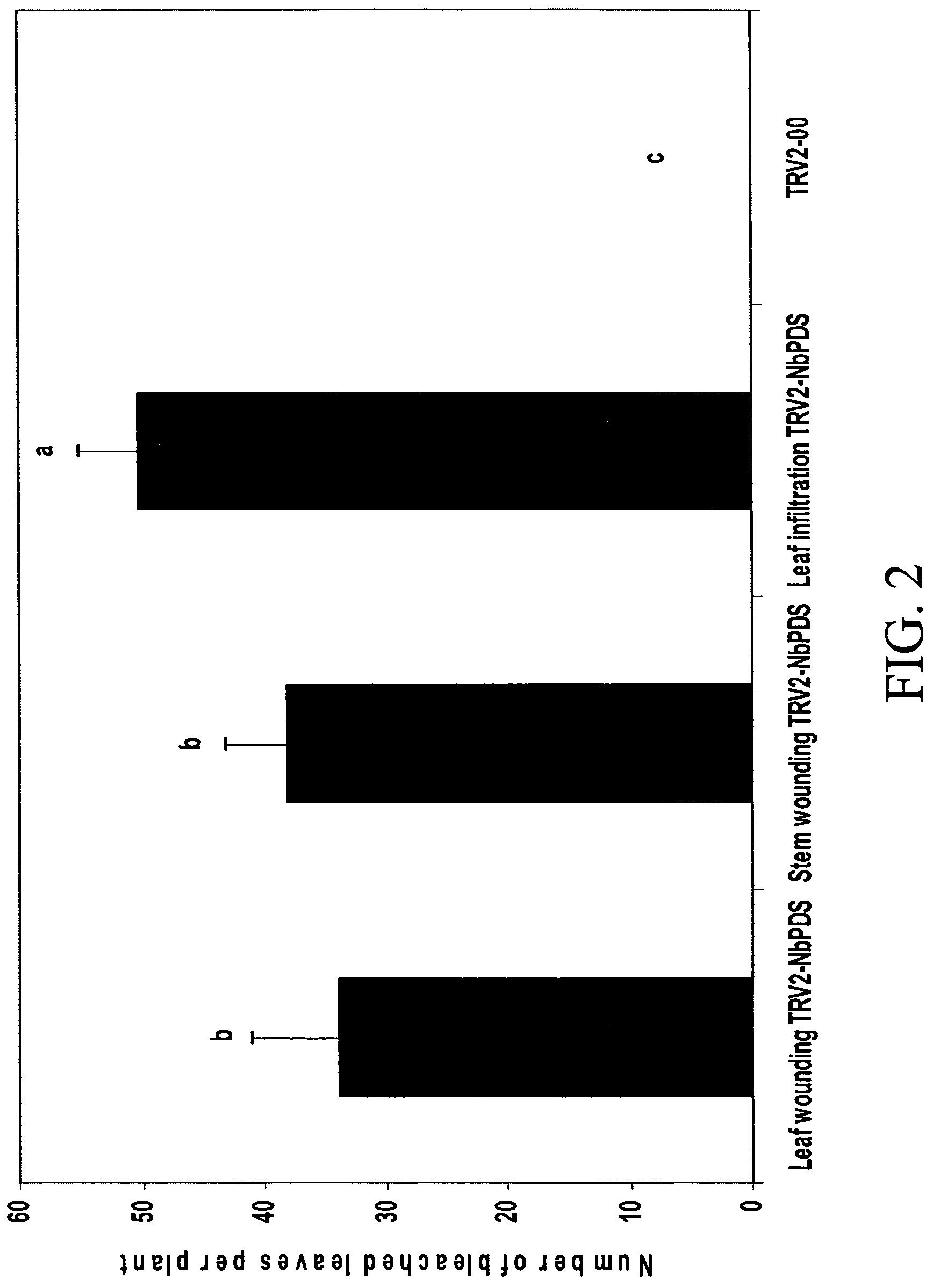 Root agroinoculation method for virus induced gene silencing