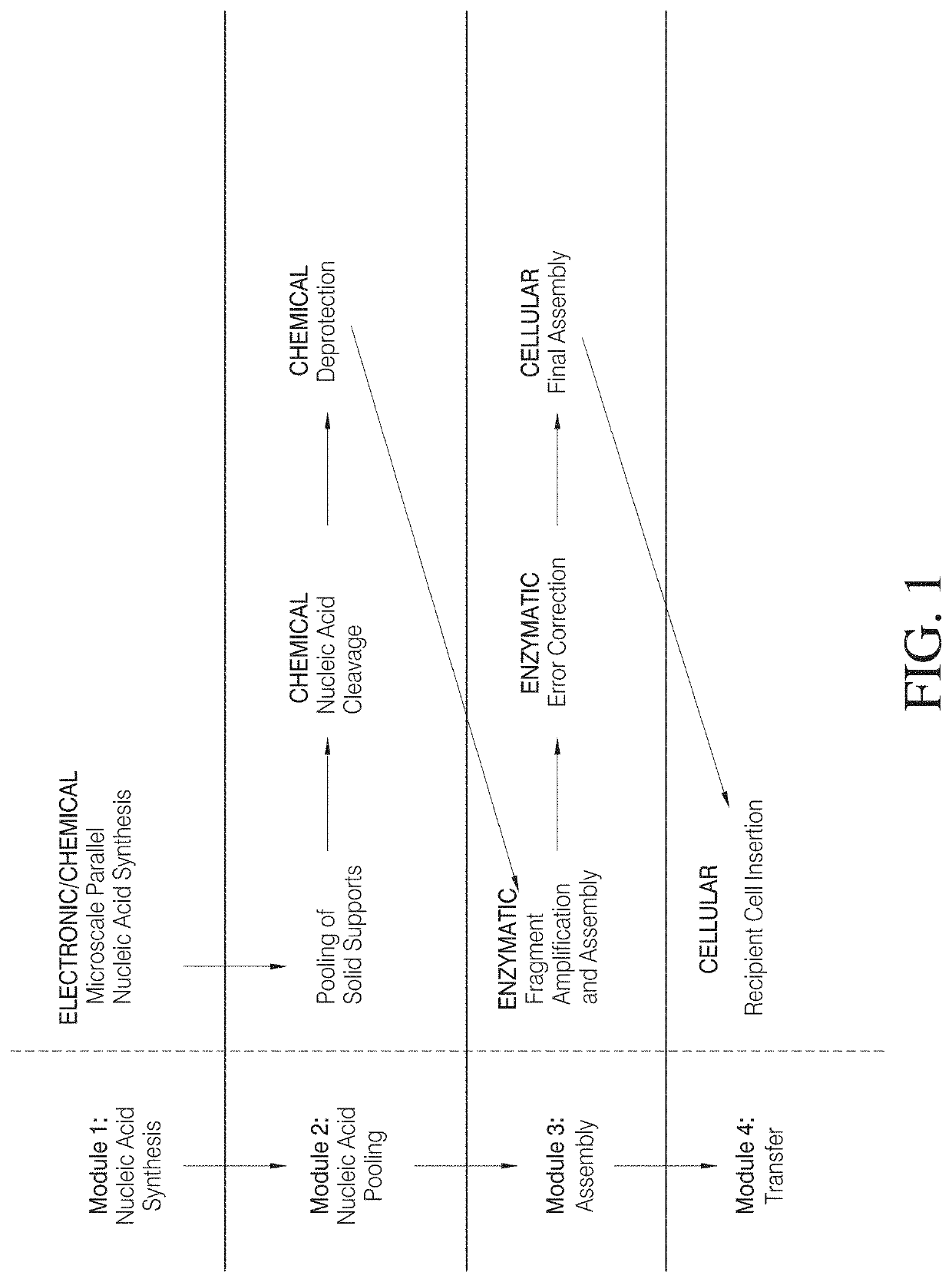 High efficiency, small volume nucleic acid synthesis