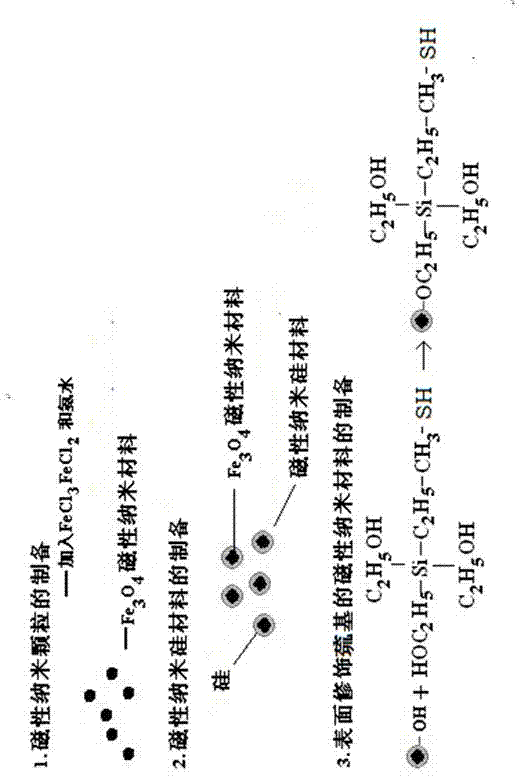 Surface modification sulfydryl magnetic nanometer material as well as preparation method and application of surface modification sulfydryl magnetic nanometer material