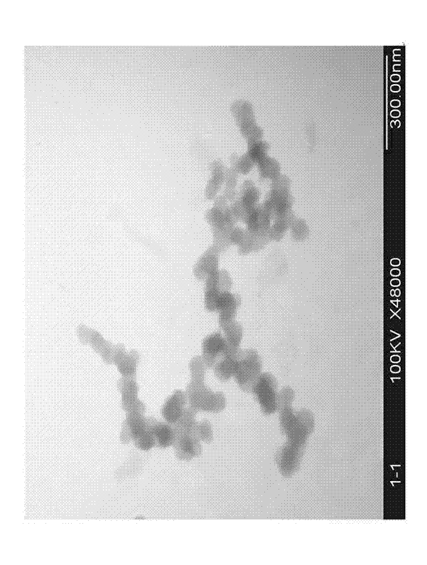 Surface modification sulfydryl magnetic nanometer material as well as preparation method and application of surface modification sulfydryl magnetic nanometer material