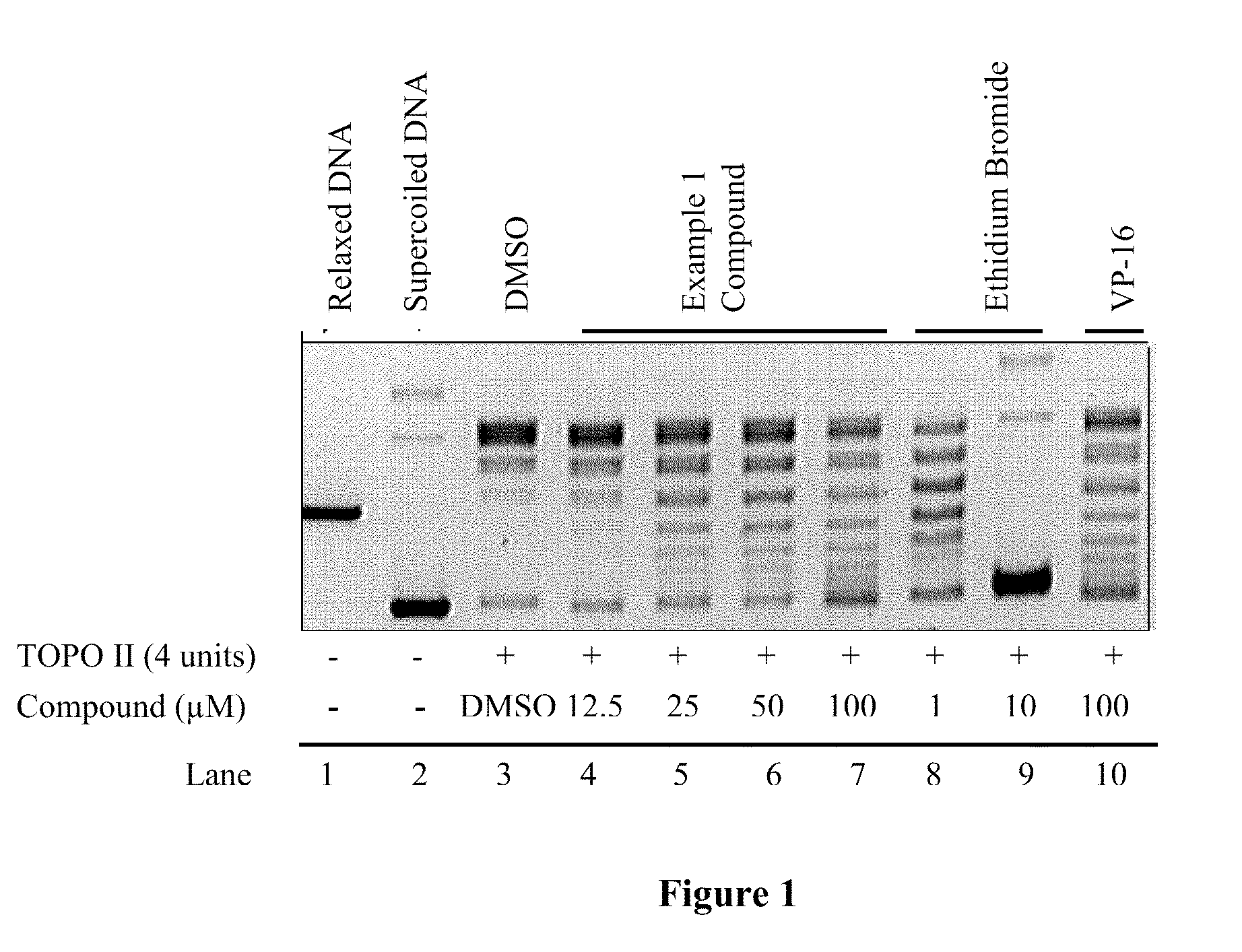 Compounds and therapeutical use thereof