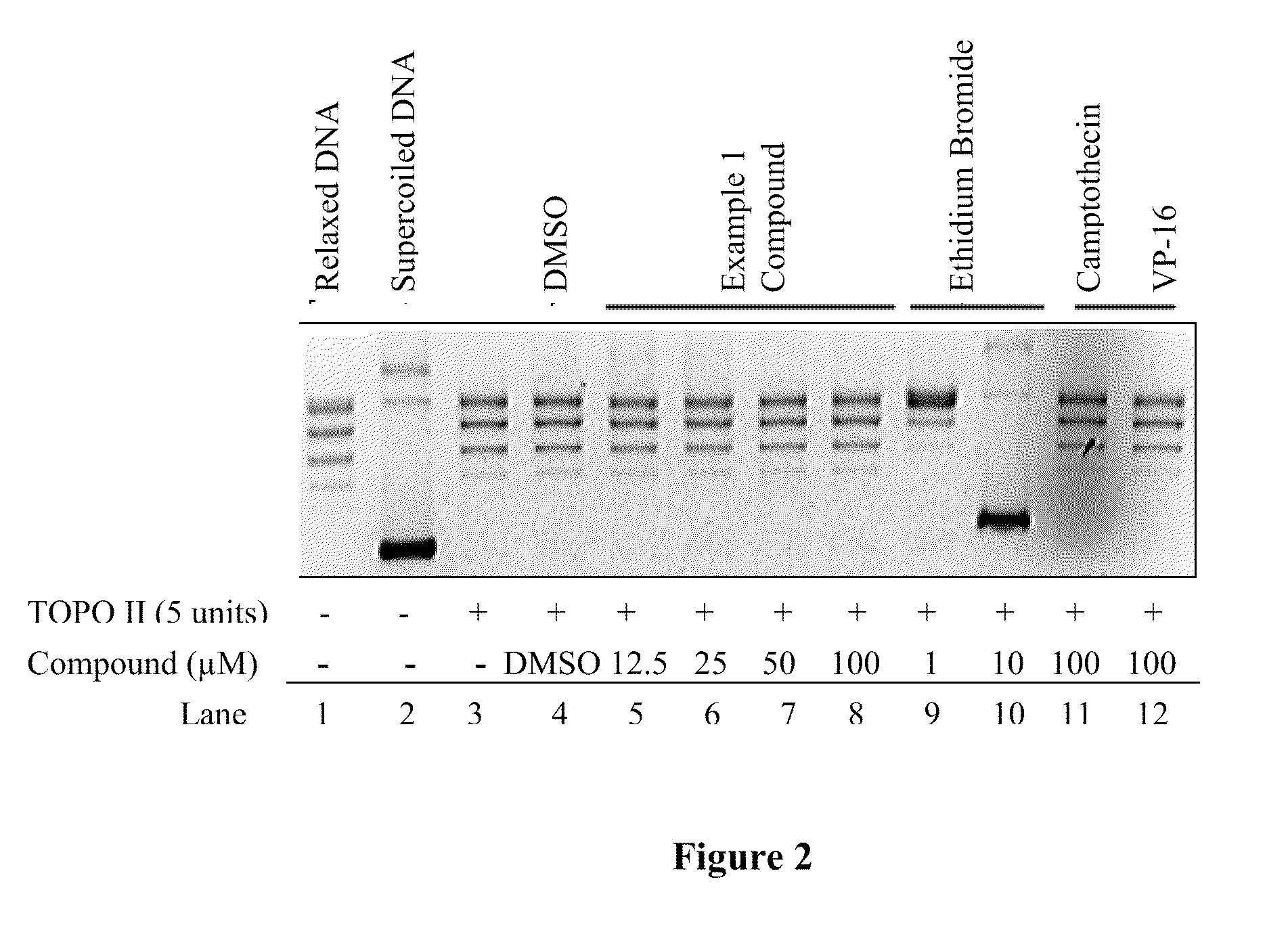 Compounds and therapeutical use thereof