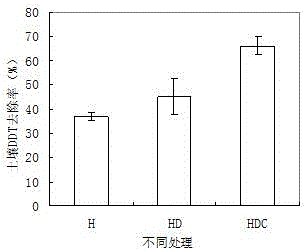 Method and application for remedying DDT-contaminated soil through plant-microorganism combination