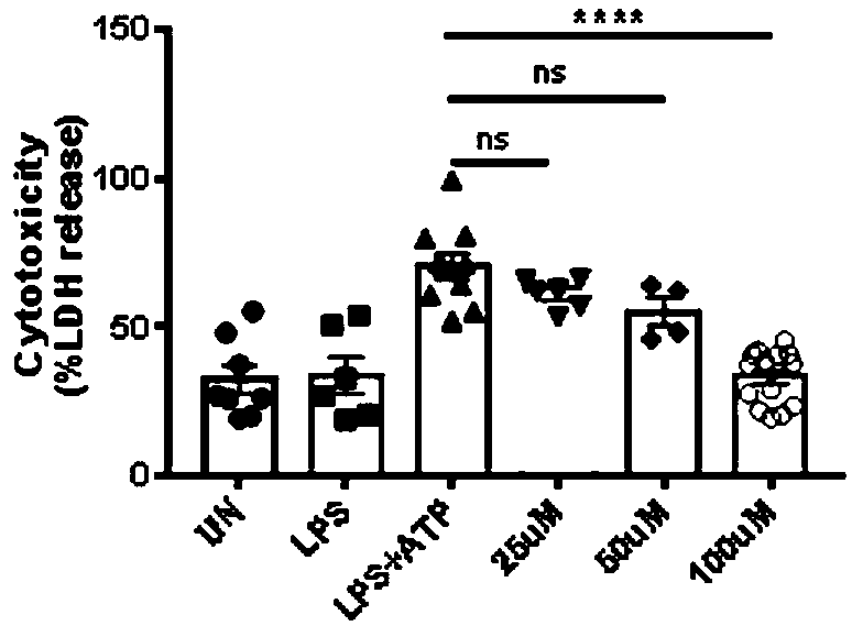 Novel application of Plerixafor in preparation of drugs for treating or preventing diseases related to GSDMD protein