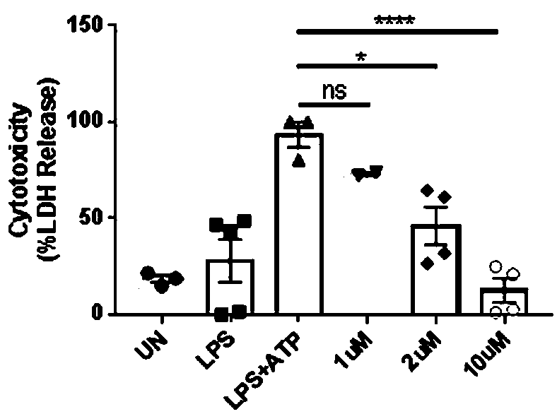 Novel application of Plerixafor in preparation of drugs for treating or preventing diseases related to GSDMD protein