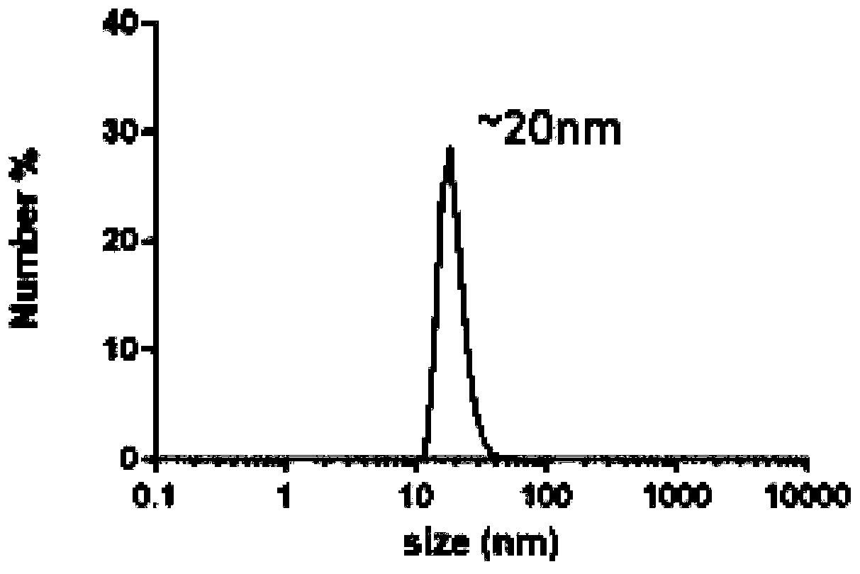 Application of ultra-small cerium oxide nanocrystal modified by phospholipid and polyethylene glycol