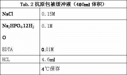 Epitode amino acid sequence of TFG-beta1 (transforming growth factor beta-1) as breast cancer detecting marker and application of epitode amino acid sequence