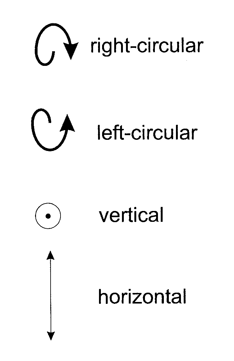 Display with observer tracking