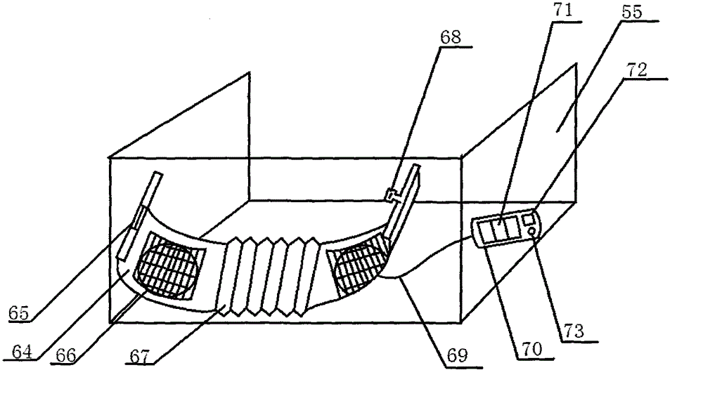 Tumor in-vivo radiotherapy device