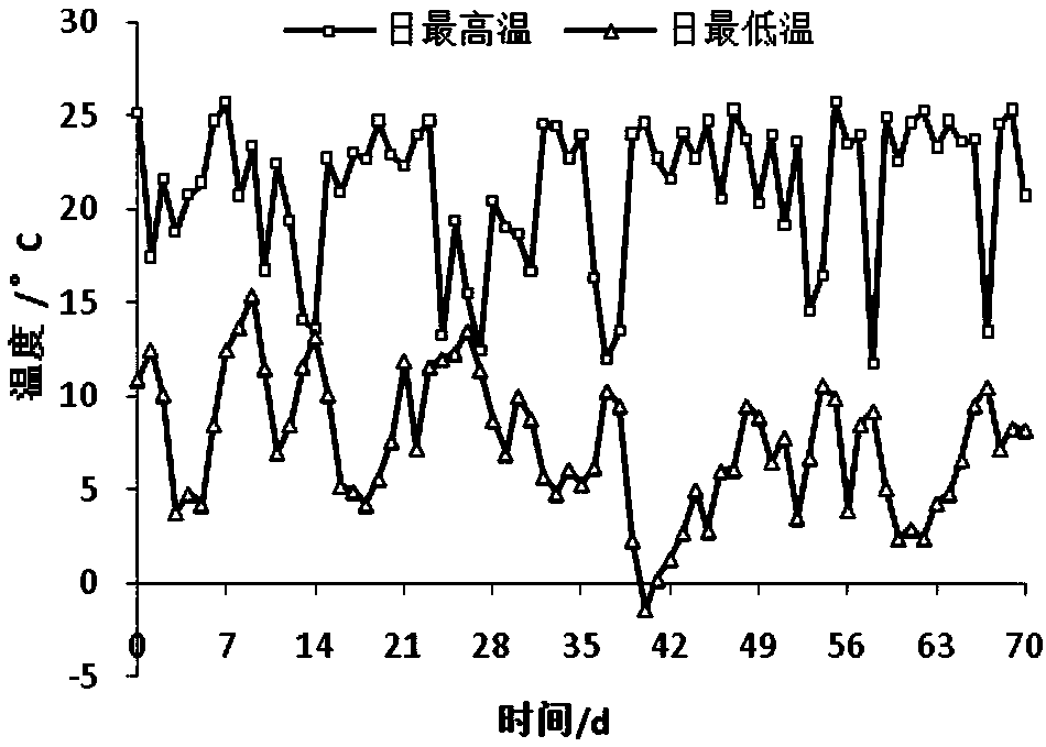 Method for evaluating cold endurance of anthurium andraeanum at flowering stage