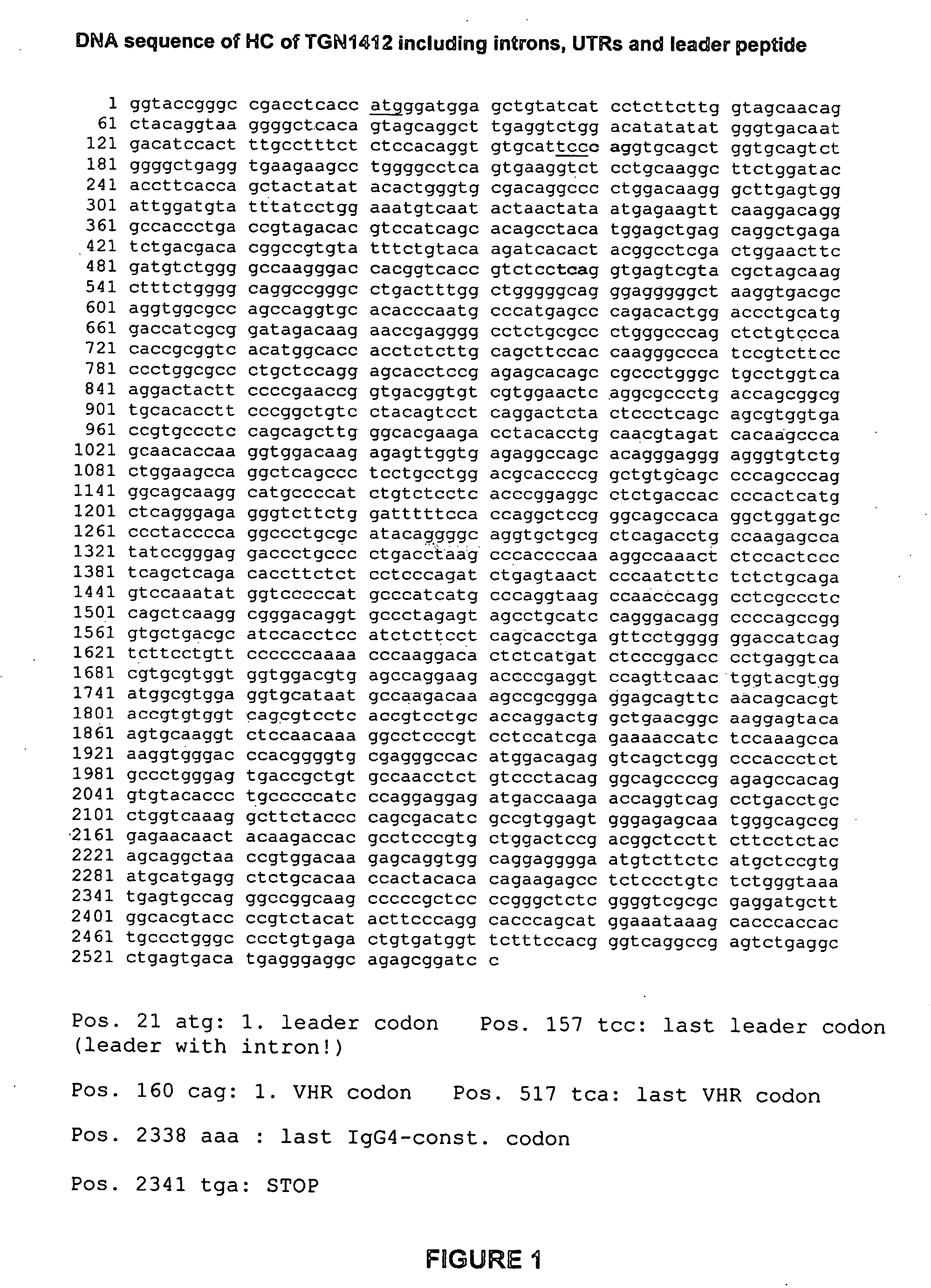 Superagonistic anti-CD28 antibodies