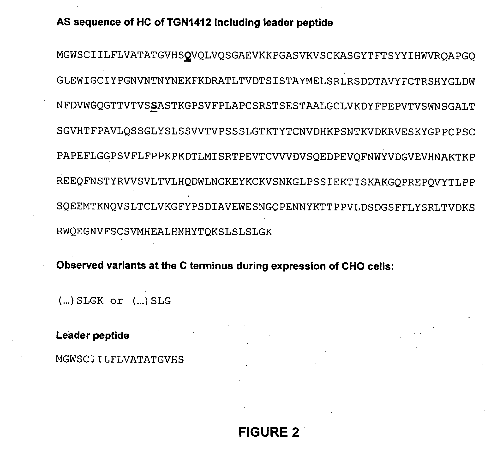 Superagonistic anti-CD28 antibodies