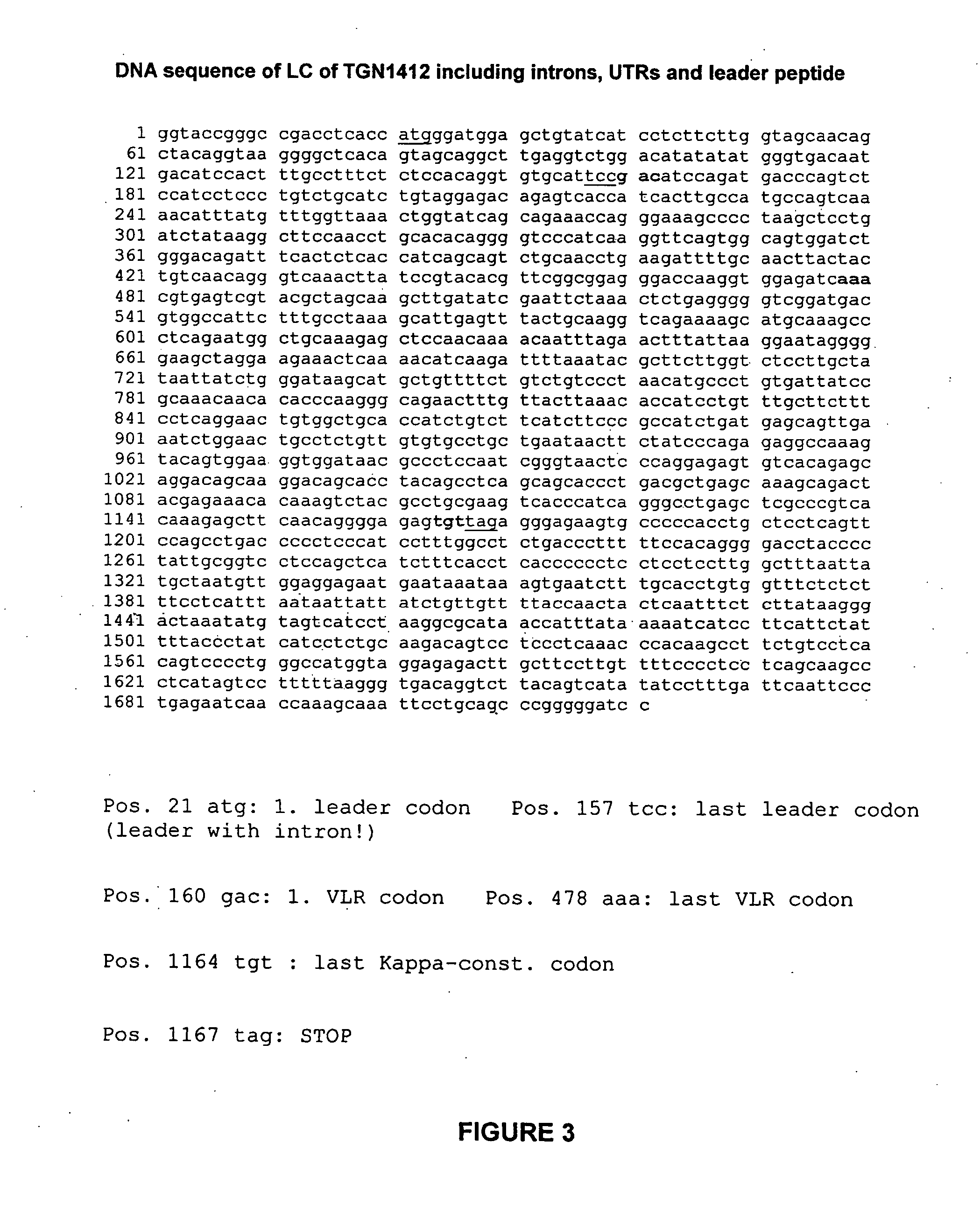 Superagonistic anti-CD28 antibodies