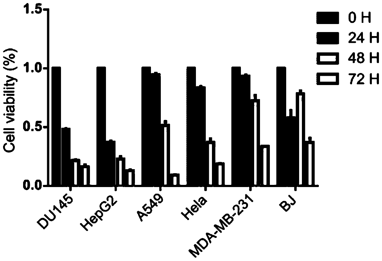 Application and research method of atopaxar hydrobromide as novel JAK-STAT3 signal path inhibitor