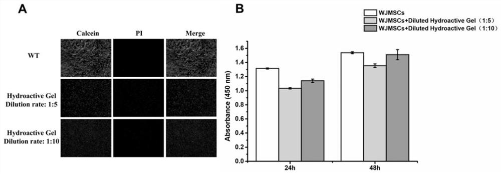 Mesenchymal stem cell preparation for treating diabetic cutaneous ulcers and preparation method of mesenchymal stem cell preparation