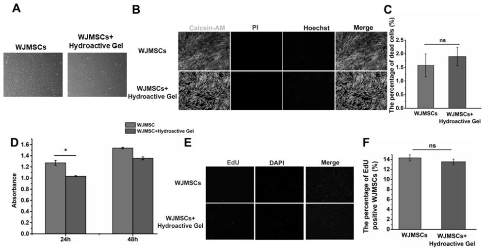 Mesenchymal stem cell preparation for treating diabetic cutaneous ulcers and preparation method of mesenchymal stem cell preparation