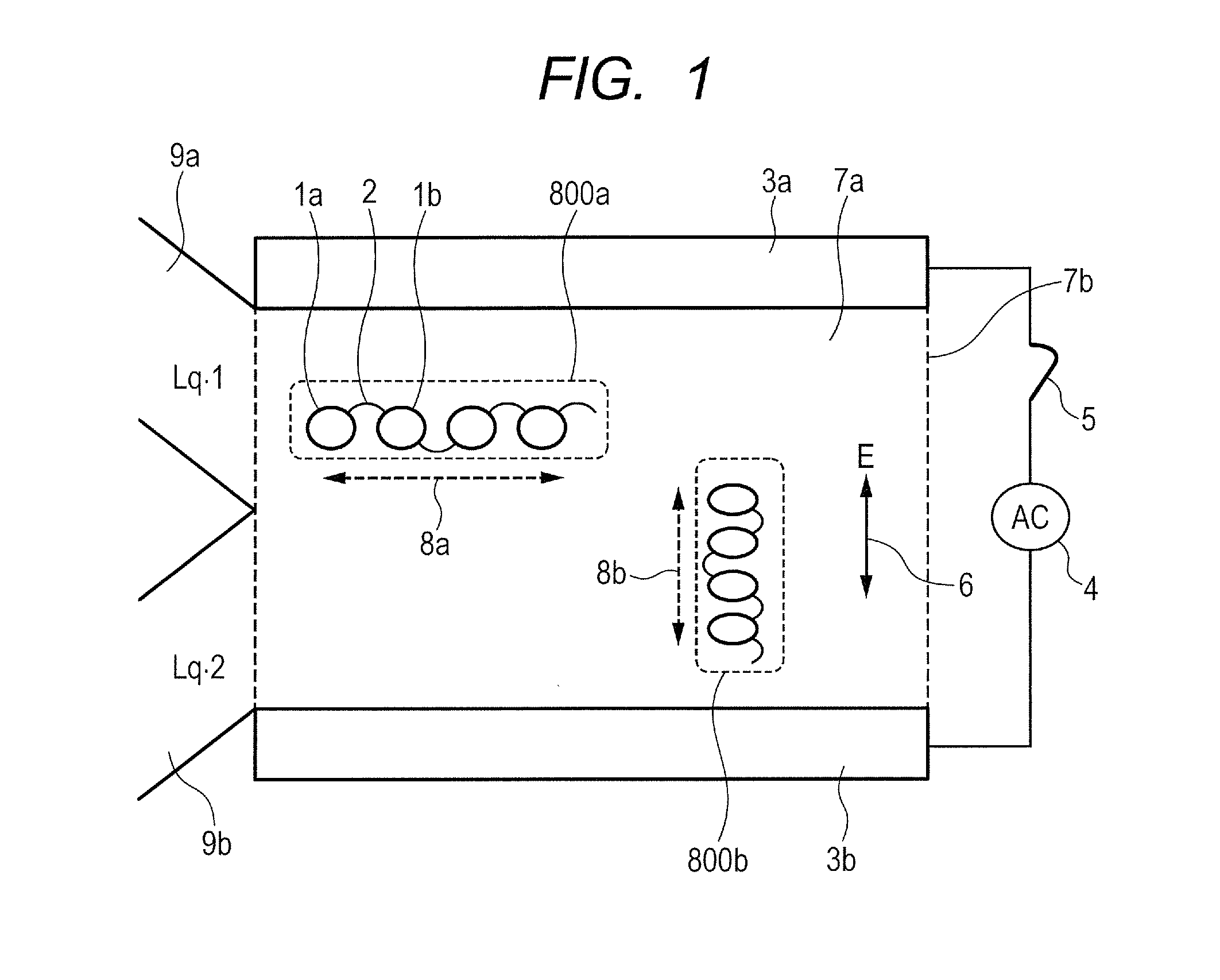 Polarizable connection structure and device including the same