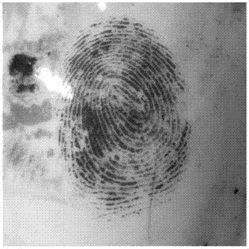 A method for revealing latent fingerprints by fuming candle soot