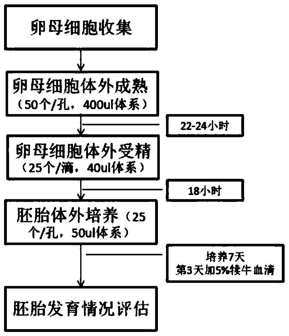 A kind of embryo culture method in vitro