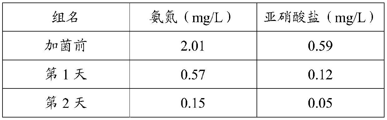 Bacillus amyloliquefaciens Y1711, and culture method and application thereof