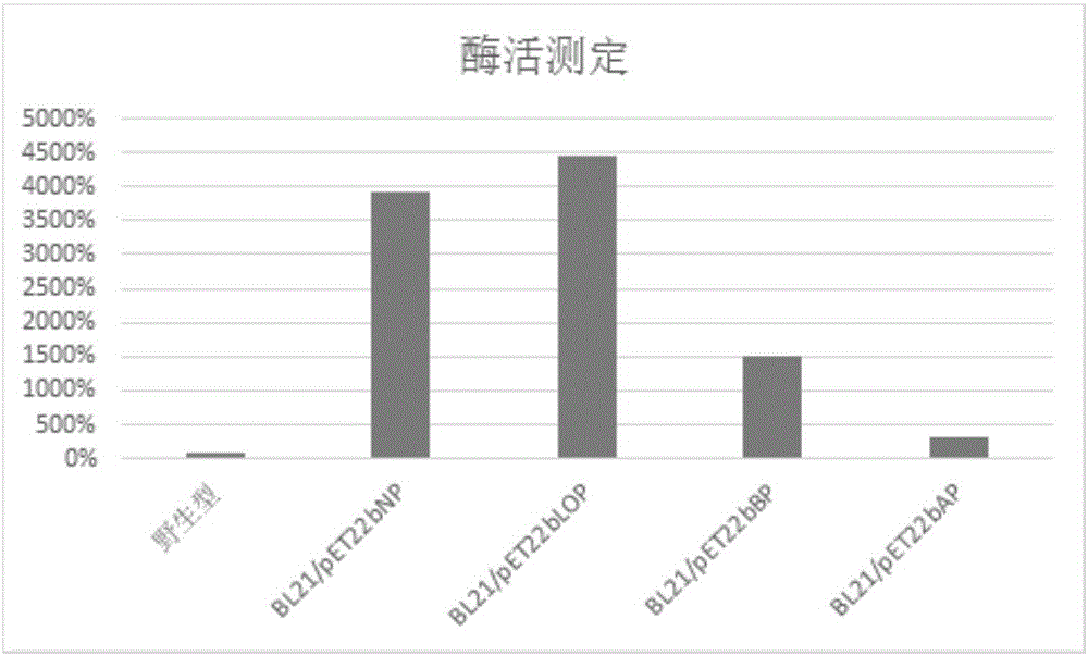 Recombinant escherichia coli for cell surface display PET lytic enzyme, construction and application