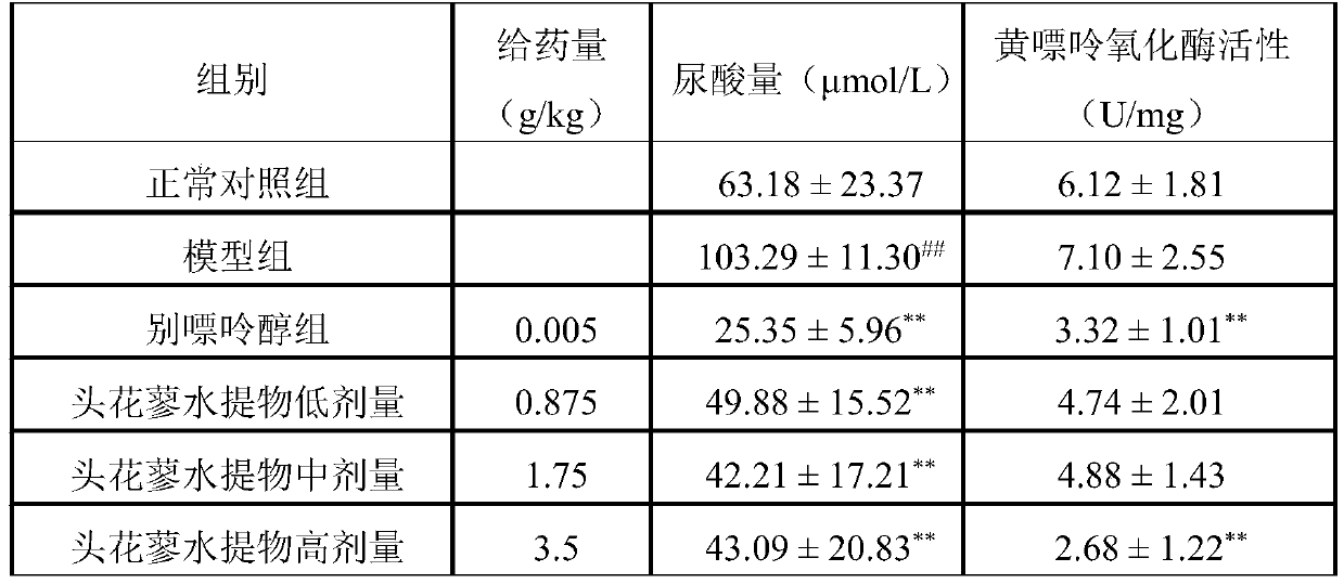 Application of polygonum capitatum in regulation of uric acid