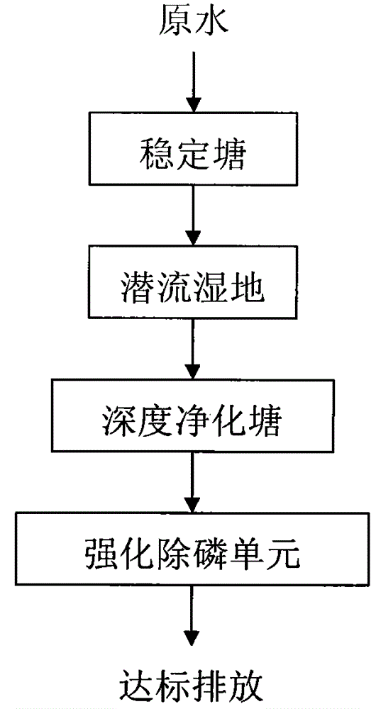 Nitrogen and phosphorus removal constructed wetland process technology