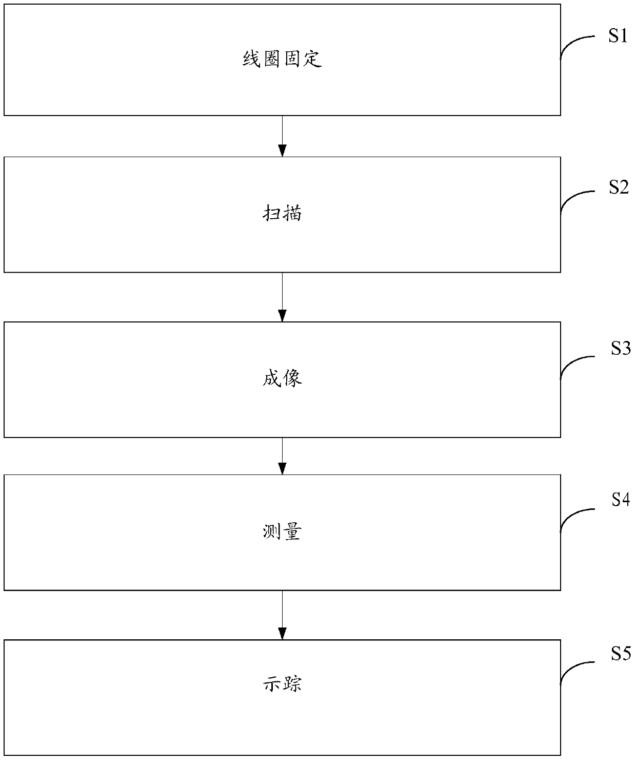 MR (magnetic resonance) imaging analysis method for sciatic nerve