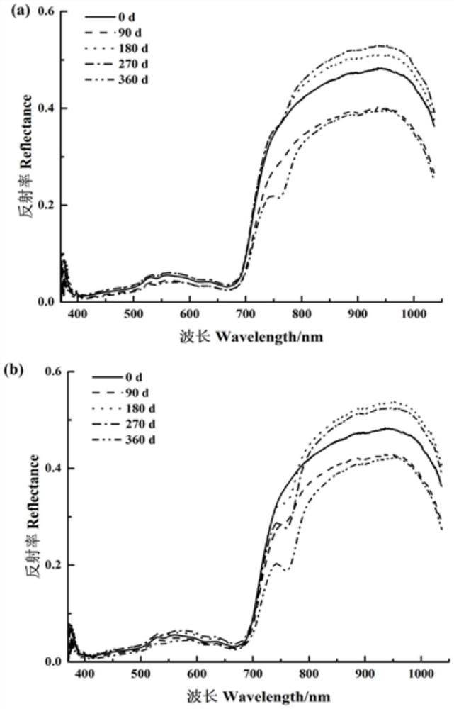 A method of judging the storage period of tea using hyperspectral image technology