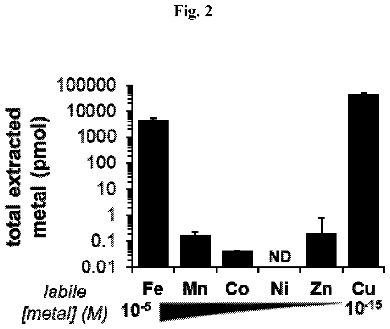 Restoration of transmembrane copper transport