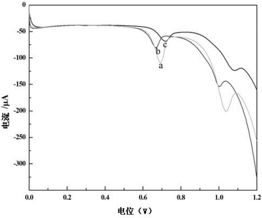 Cell pre-treatment method of electrochemical detection