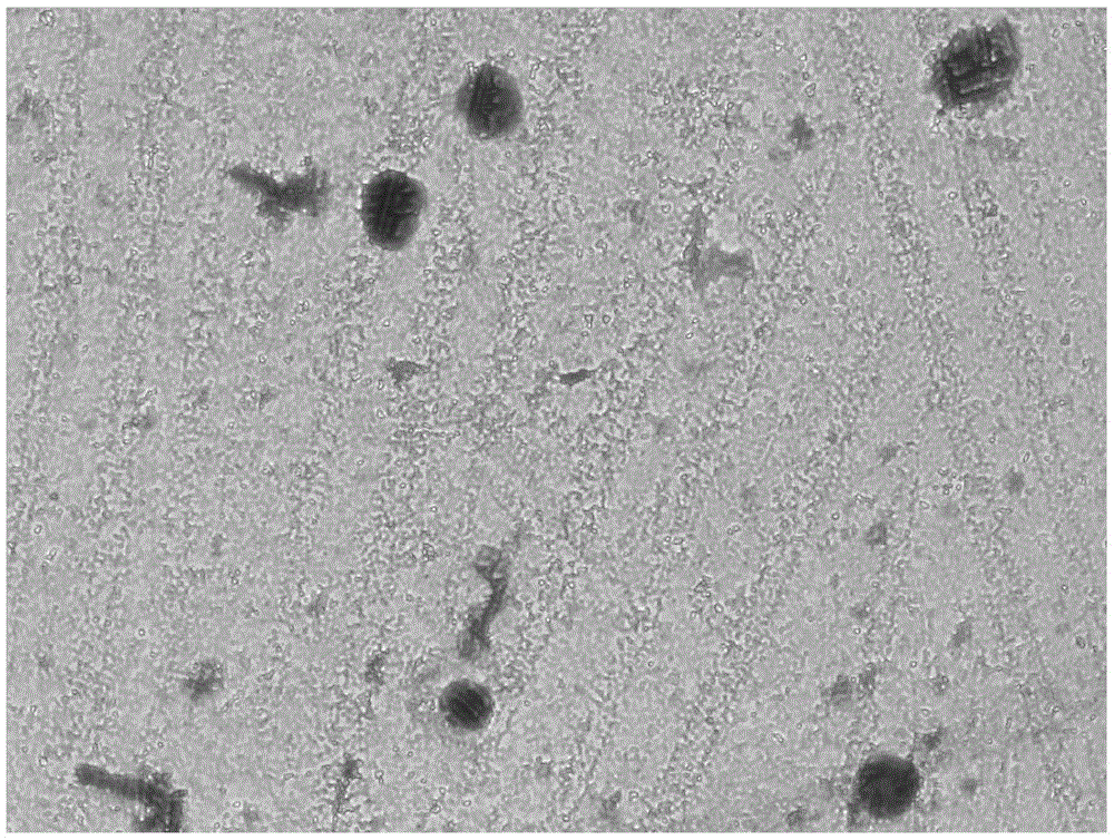 Cell pre-treatment method of electrochemical detection