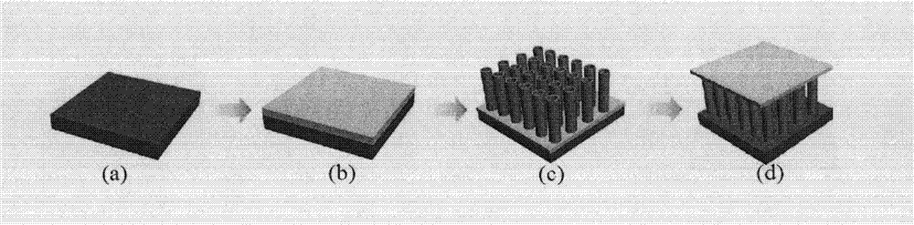 Absorbable magnesium alloy stent with polymer and TiO2 nanotube coating and preparation method thereof