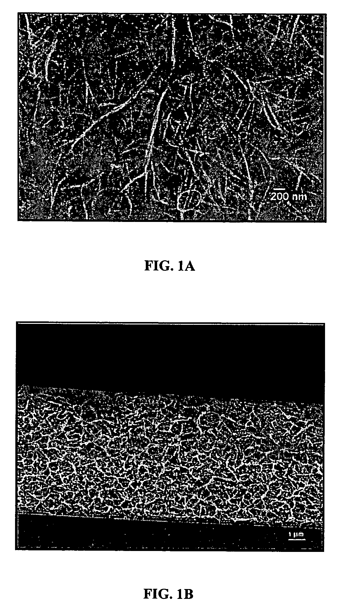 Nanocomposites and methods thereto