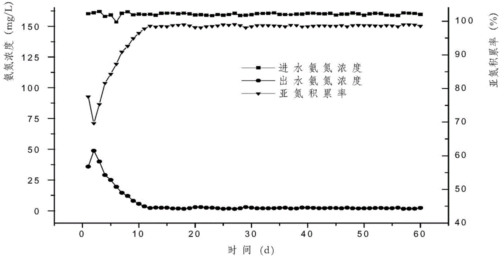 Preparation and application of ammonia oxidizing bacteria immobilized bioactive filler based on polyurethane carrier