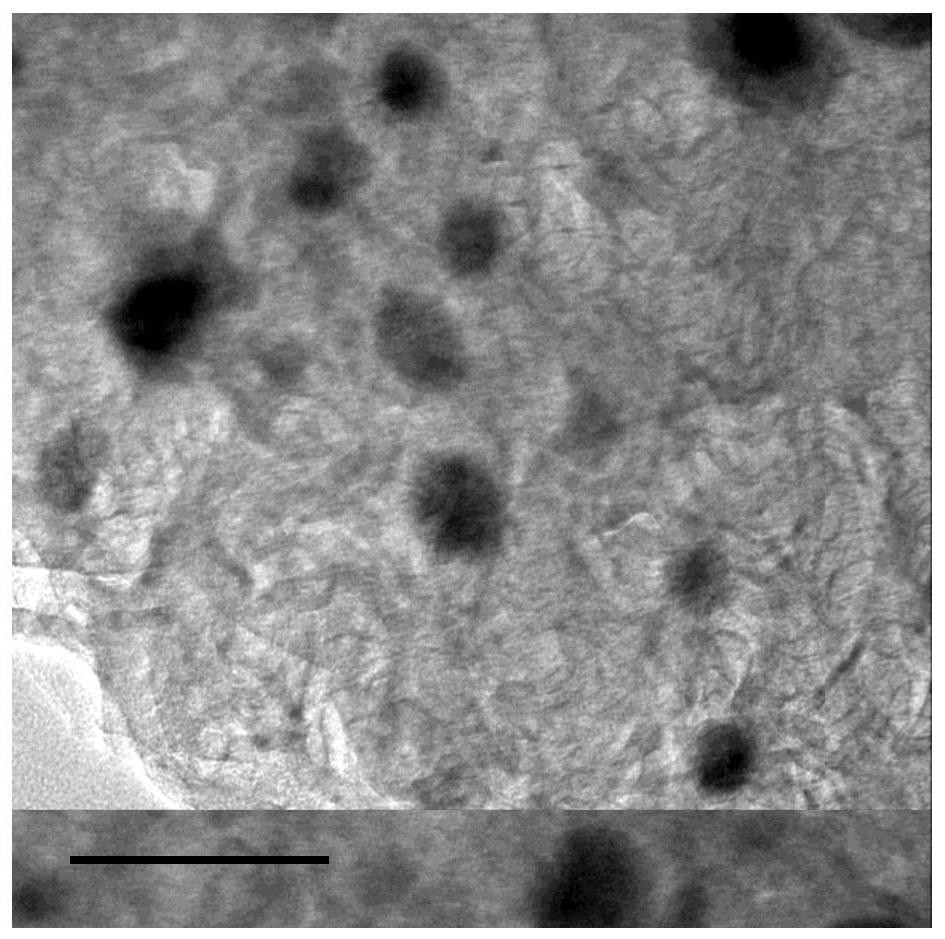 Catalyst and preparation method of n-doped porous carbon coated Fe, Co bimetallic nanoparticles