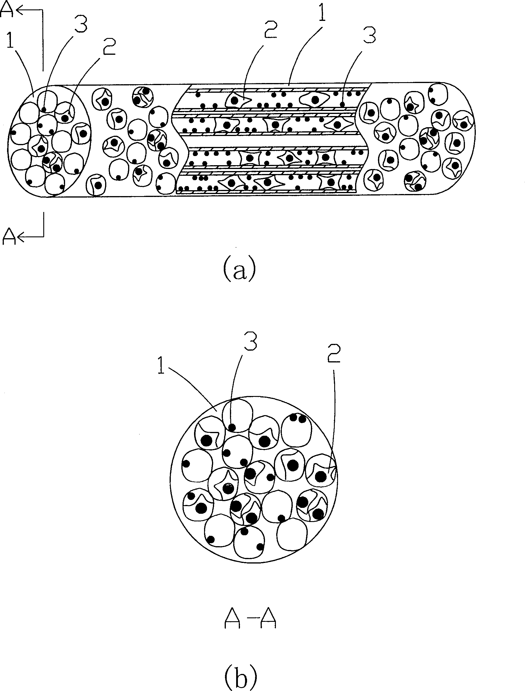 Tissue engineering bone and its construction and application