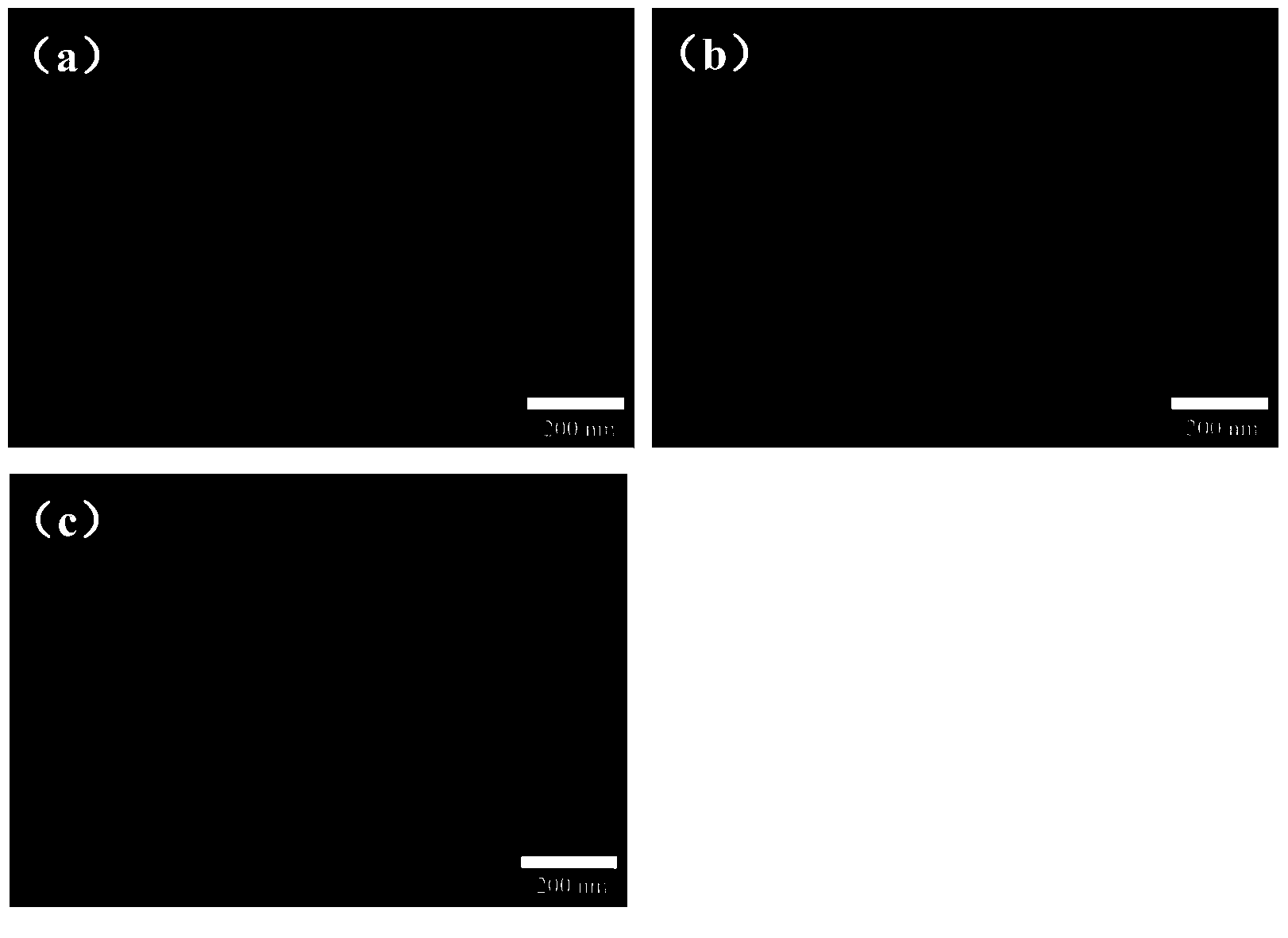 Preparation method of porous film with regular vertical pores